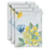 Lot De 3 Gants De Toilette Good Evening En Coloris 16 X 22 Cm