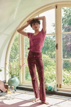 Pantalon Isola En Coloris Fonce