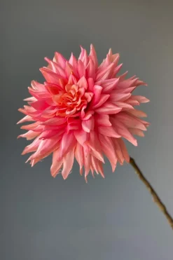 Pip Fleurs Artificielles Vanilla Bloom