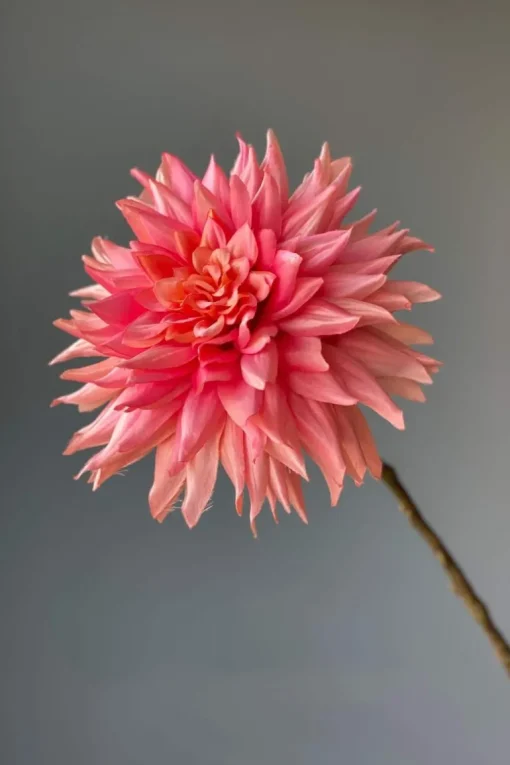 Pip Fleurs Artificielles Vanilla Bloom