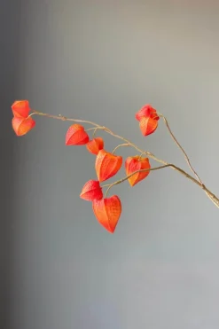 Pip Fleurs Artificielles Fall Beauty