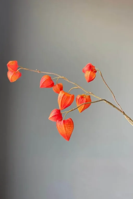 Pip Fleurs Artificielles Fall Beauty