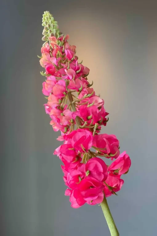 Pip Fleurs Artificielles Sunset Kiss