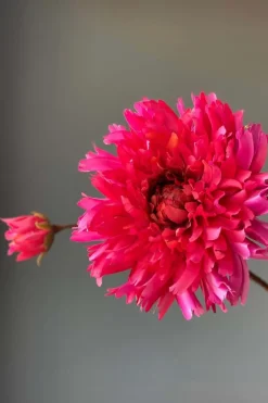 Pip Fleurs Artificielles Fall Beauty